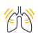 Lungs icon