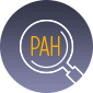 What Is Pulmonary Arterial Hypertension, or PAH?
